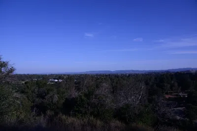 DSC_2084 (Large).JPG